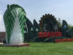-上海都市菜园
