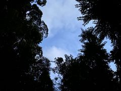 -武吉知马自然保护区