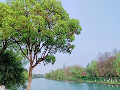 -西溪国家湿地公园