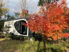 -上海海湾国家森林公园