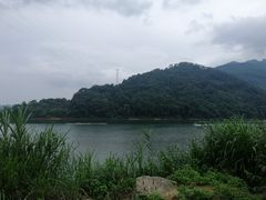 -广州市流溪河国家森林公园