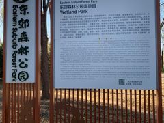 -东郊湿地公园
