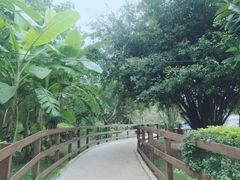 -涠洲岛-圣母堂