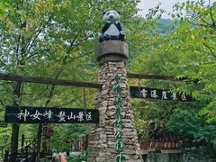 -青峰峡国家森林公园