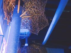 -上海滴水湖皇冠假日酒店