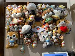 -逗柴咖啡屋·狗咖猫咖宠物桌游