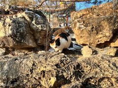 -承德避暑山庄景区