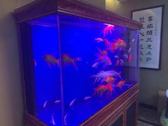 -知足堂养生会所(碑亭巷店)