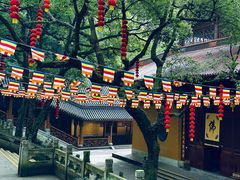 -灵隐飞来峰景区