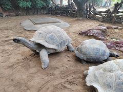 -广州长隆飞鸟乐园