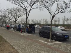 -南汇嘴观海公园