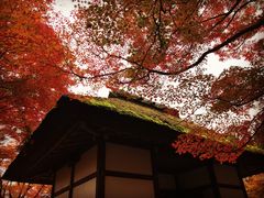 -常寂光寺