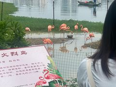 -南宁南湖公园