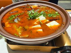 -杨氏青龙虾·羊蝎子(托乐嘉店)