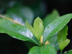 -成飞公园