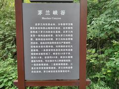 -茅兰沟国家森林公园