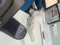 -嘉馨宠物医院·CT影像转诊·心脏科·犬猫全科诊疗中心(下沙大学城院区)