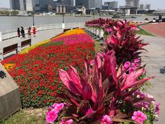 -上海山野camping·户外天幕烧烤·团建拓展营地
