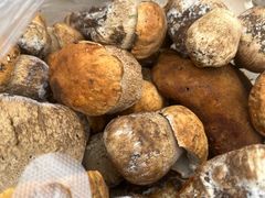 -云朵小院·石锅鱼·野生菌餐厅(蒗放店)