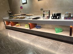 -郑州新郑国际机场T2航站楼-贵宾厅B区