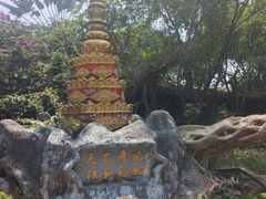 -独树成林