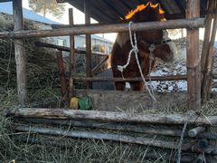 -北极村旅游风景区