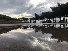 -青岛海滨风景区
