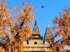 -北京石刻艺术博物馆(五塔寺)