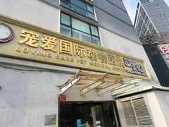 -宠爱国际动物医院·疑难骨科·心肾内科·皮肤科(太阳宫店)