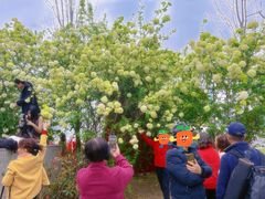 -大龙山(地铁站)