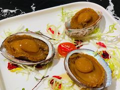 卤水大连鲍-小東馆(东纵路店)