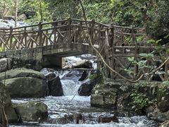 -广州市流溪河国家森林公园