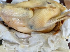 吉英盐焗鸡-吉英盐焗鸡(文中路店)