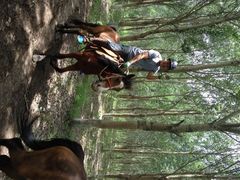 静安马场-沈阳静安马场