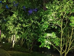 -上海外滩茂悦大酒店