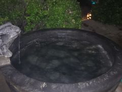 -仁爱团泊湖温泉中心