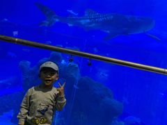 -成都浩海立方海洋公园