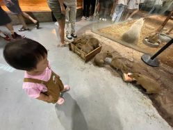 -Zoolung Zoolung动物主题公园(海信广场店)