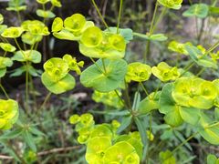 -终南山国家森林公园