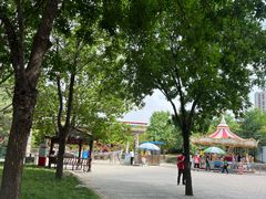 -大望京公园