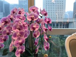 点击看大图 -东田造型