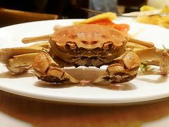 螃蟹-东方红海鲜百汇(国际大厦店)