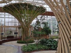 -黄龙溪欢乐田园