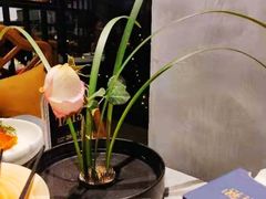 -蒲叙(凯天国际店)