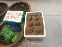 -东宴(温岭店)