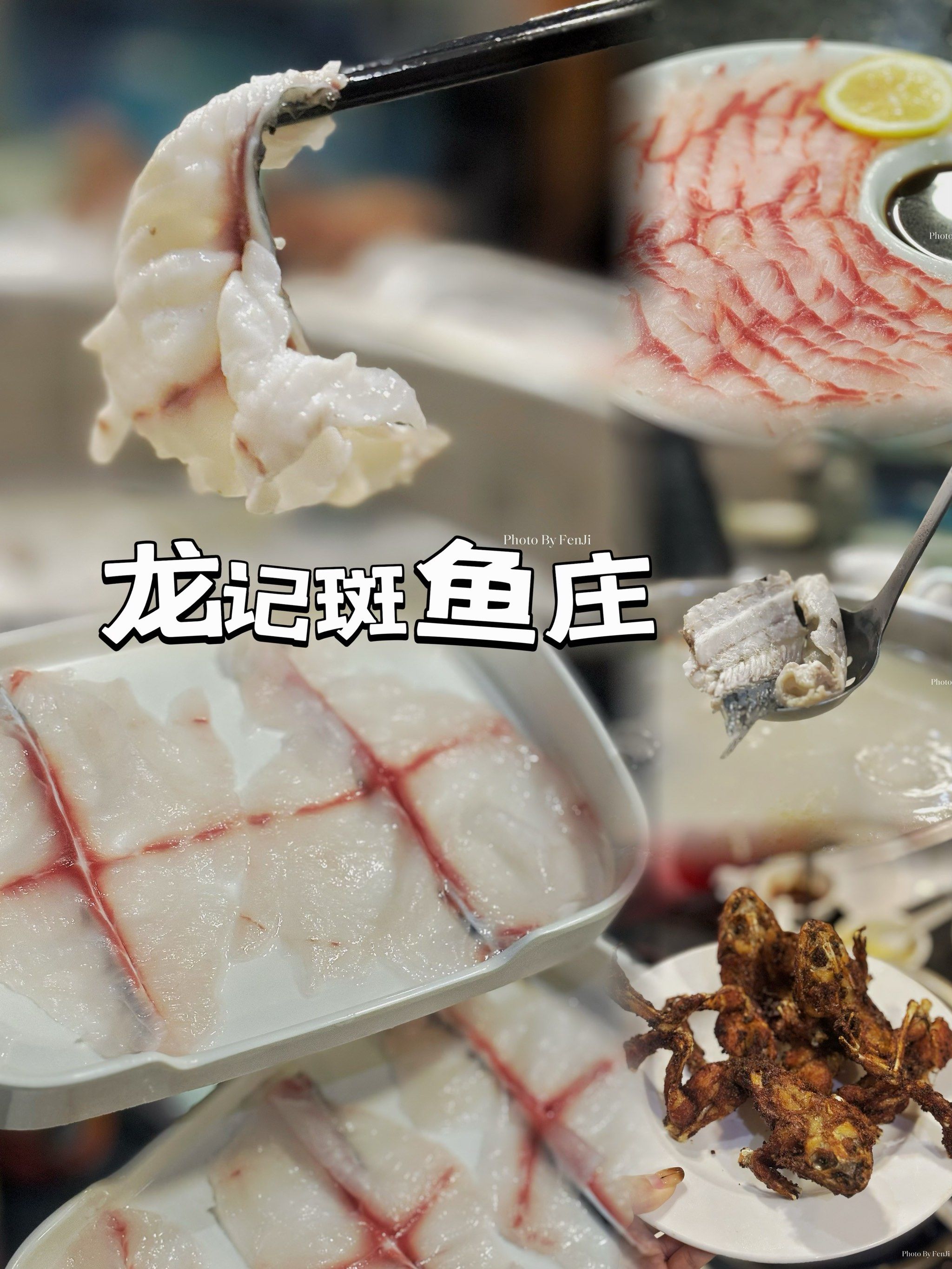 「龙记斑鱼庄(革新店)」
99位置:南岗区奋斗路街道光芒街39号
