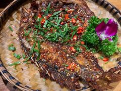 -老滇山寨•云南特色菜•地方菜•民族风情歌舞表演(金碧店)