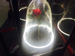 -天幕新彩云国际影城(激光巨幕店)