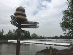 -上海长兴岛郊野公园