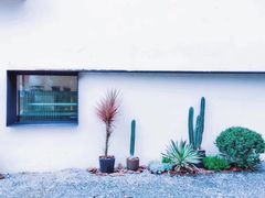 -云里小坐·小院里·团建·宴请·下午茶(三圣乡店)
